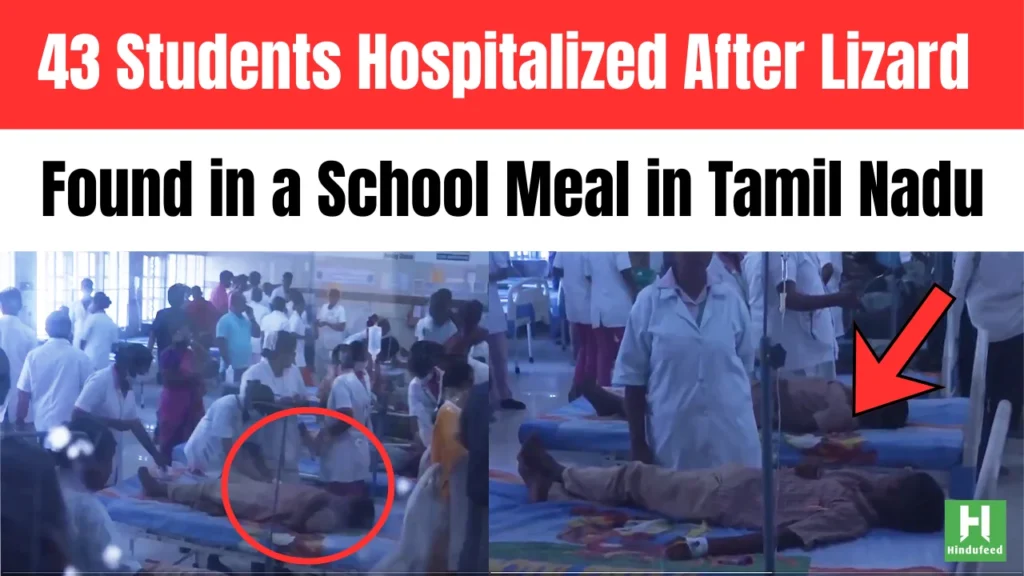 43 Students Hospitalized After Lizard Found in a School Meal in Coimbatore, Tamil Nadu